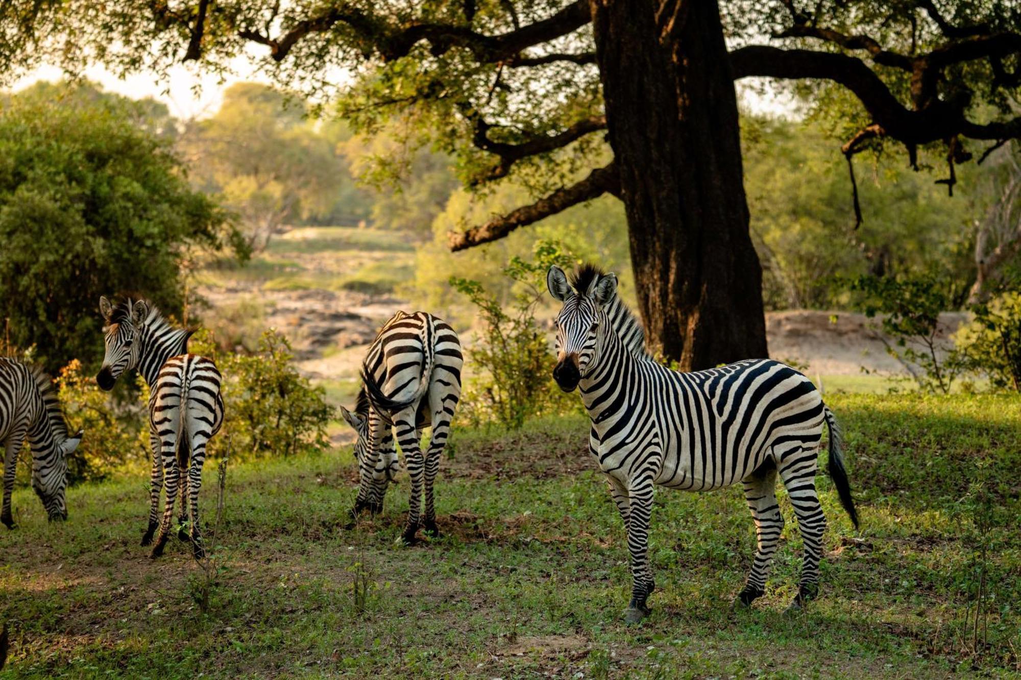 Radisson Blu Mosi-Oa-Tunya Livingstone Resort Экстерьер фото